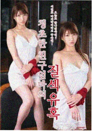 图鉴四城市夜行组合配图